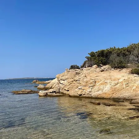 Apartment Wiki's Place