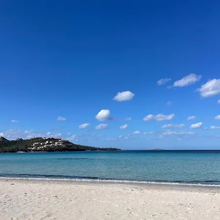 Wiki's Place Porto Rotondo