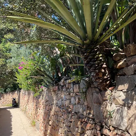 Wiki's Place Apartment Porto Rotondo