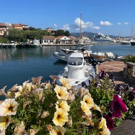 Apartment Wiki's Place