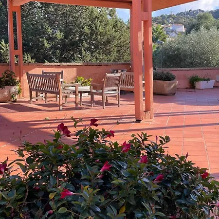 Wiki's Place Porto Rotondo