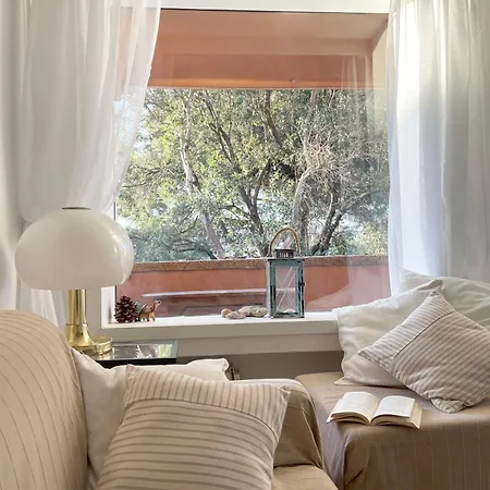 Wiki's Place Porto Rotondo