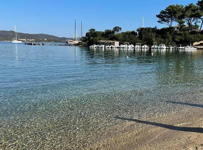 Wiki's Place Appartement