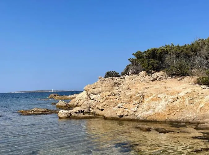 Appartement Wiki's Place