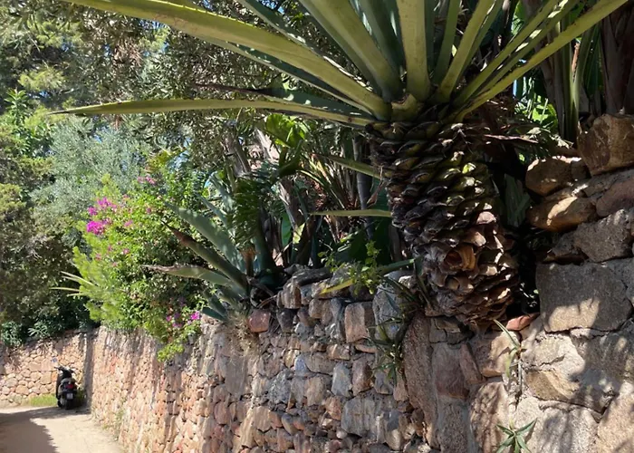 Wiki's Place Appartement Porto Rotondo