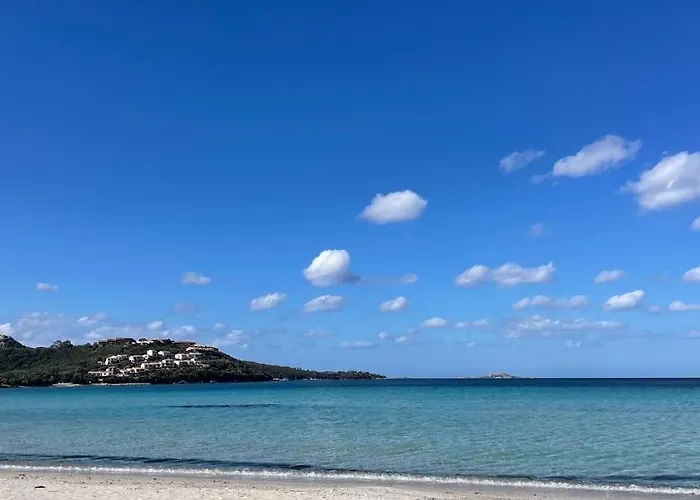 Wiki's Place Porto Rotondo